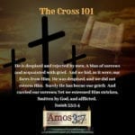 The Cross 101