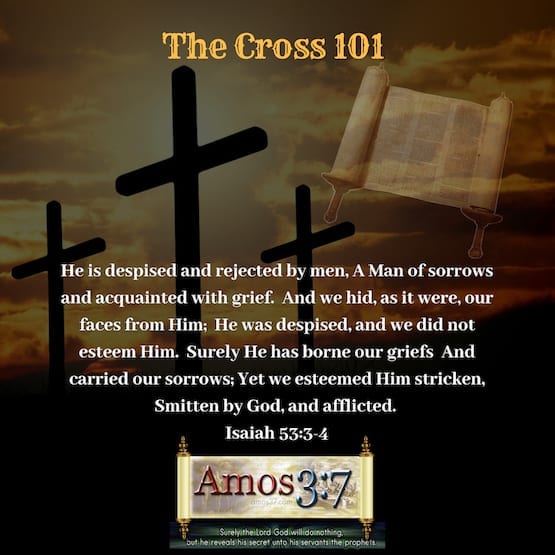 The Cross 101, Jesus, Crucified, commentary,