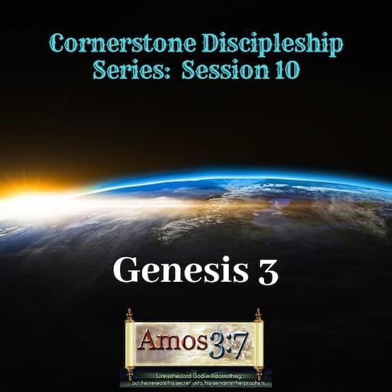 Cornerstone Discipleship Series 1-11 Session 10