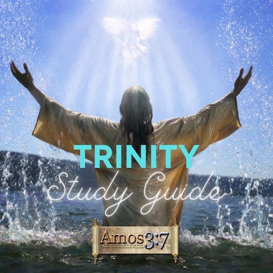 trinity, study, guide, god the father, god the son, god the holy spirit,