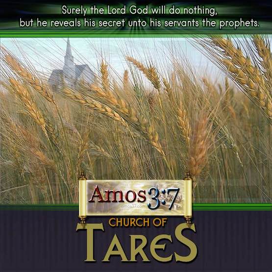 Church of Tares