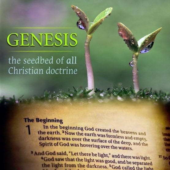 The First Verse Understanding Genesis