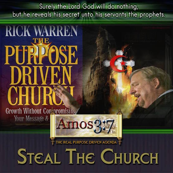 The Real Purpose Driven Agenda: Steal The Church