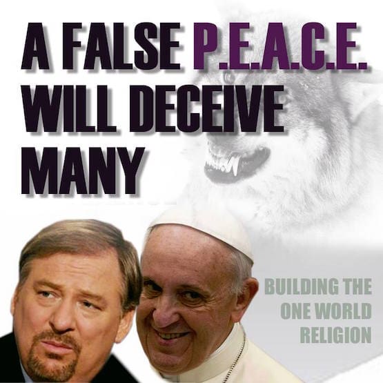 Rick Warren The UN & The Global Church