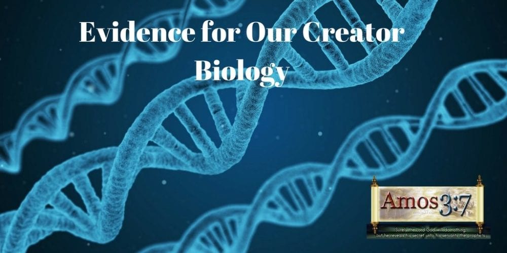 Biology Creation Answers
