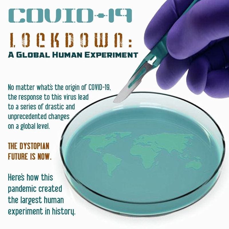 covid, lockdowns, globalism, social engineering,