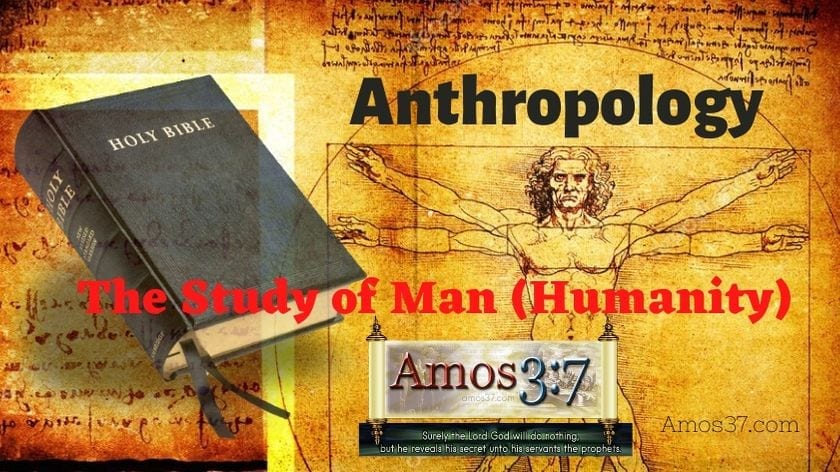 theology, anthropology, course, free,