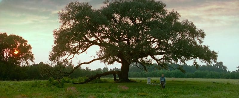 The Hidden Messages in "Forrest Gump" About America and Its Destiny 190 gump26 The Hidden Messages in "Forrest Gump" About America and Its Destiny