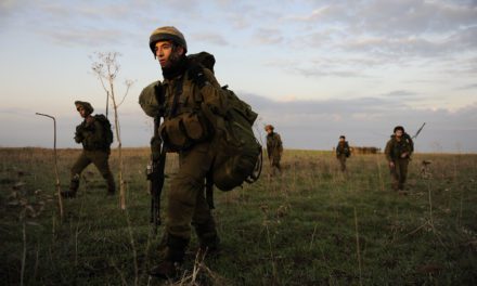 IDF tentatively facing up to Israel’s next major threat — climate change
