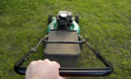 Climate Change Crackdowns: Gasoline-powered lawn mowers, leaf blowers to be banned under new California law