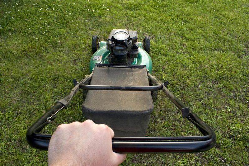 Climate Change Crackdowns: Gasoline-powered lawn mowers, leaf blowers to be banned under new California law