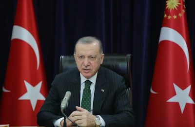 Turkey's expulsion of Western ambassadors cements authoritarian shift – analysis