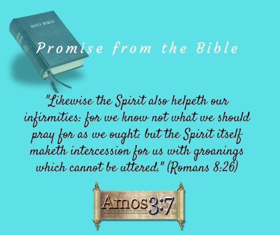 The Promise of the Holy Spirit Romans 8:26