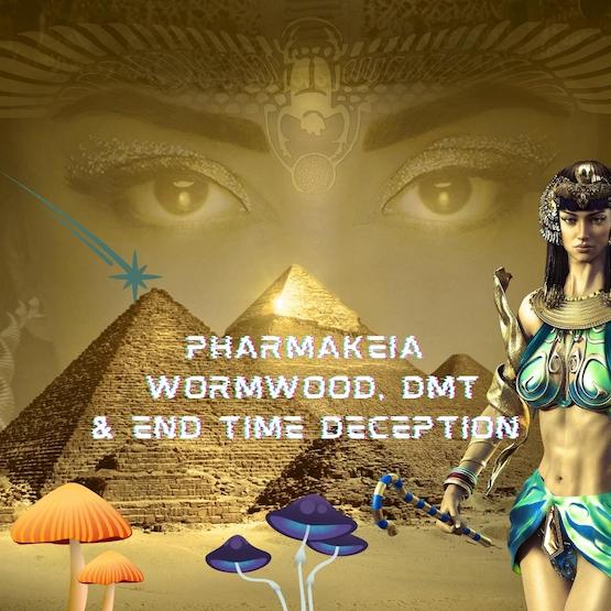 Drug Use in The End Times and it’s Connection to Pharmakeia & Wormwood