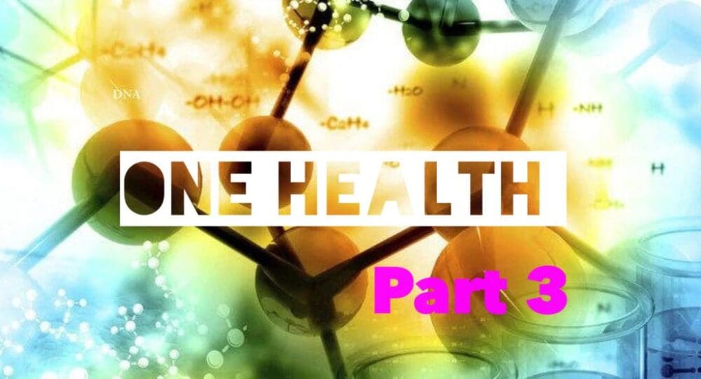 One Health: Food Security and the Catalyst for Manufactured Emergencies