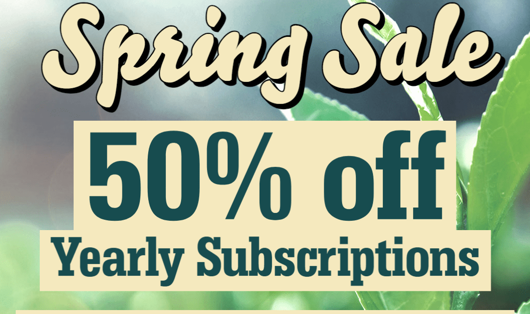 The VC Spring Sale: 50% Off Yearly Subscriptions!