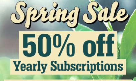 The VC Spring Sale: 50% Off Yearly Subscriptions!